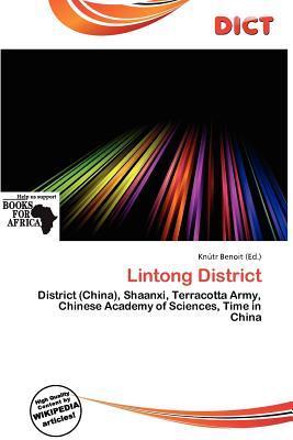 Lintong District