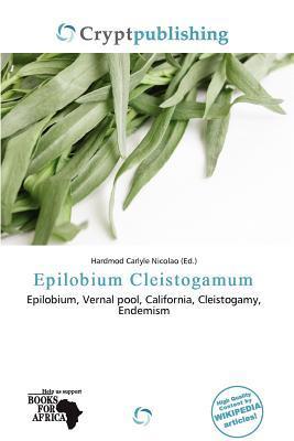 Epilobium Cleistogamum