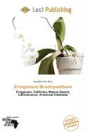 Eriogonum Brachyanthum