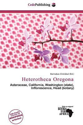 Heterotheca Oregona