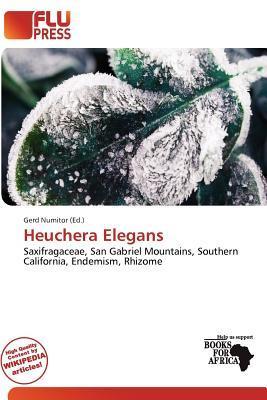 Heuchera Elegans