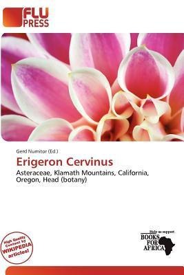 Erigeron Cervinus