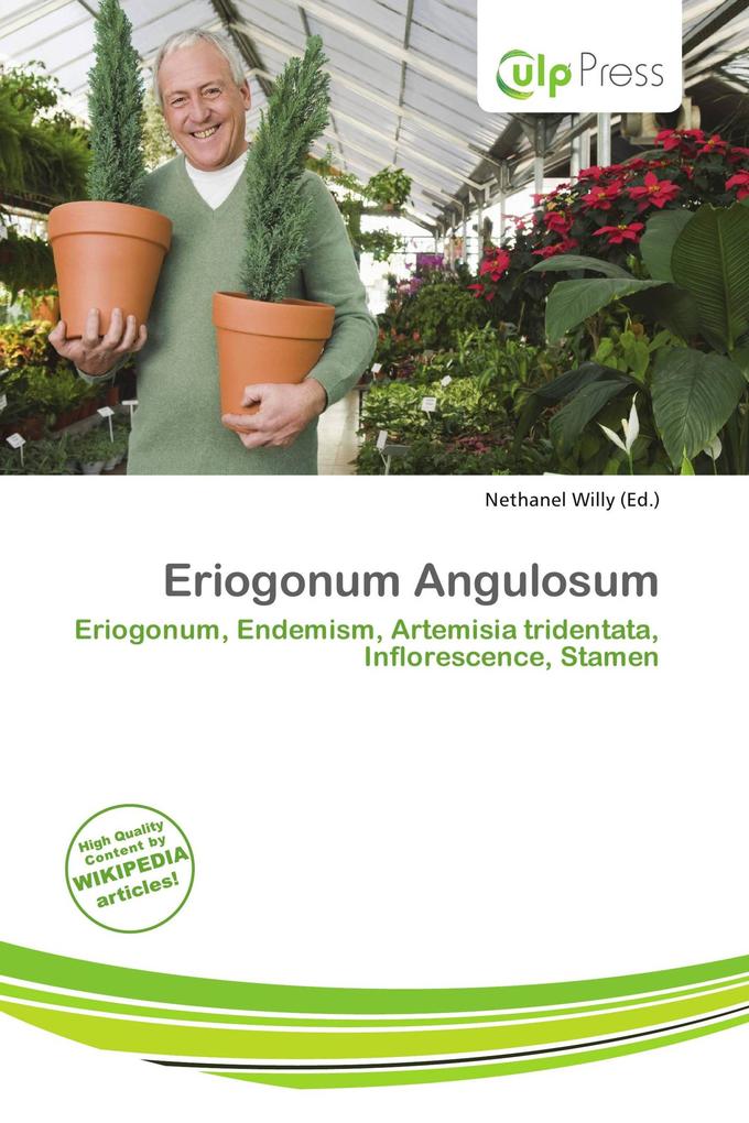 Eriogonum Angulosum