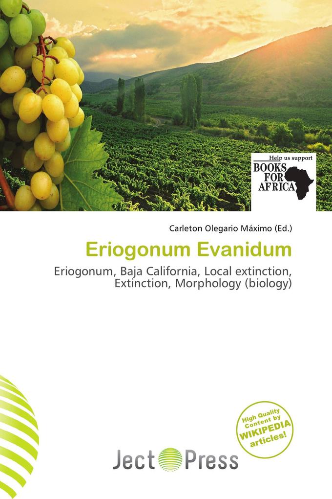 Eriogonum Evanidum