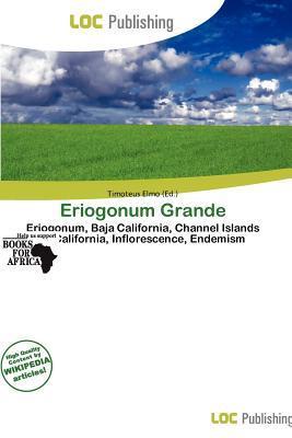 Eriogonum Grande