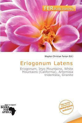 Eriogonum Latens