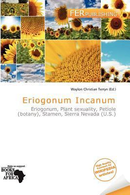 Eriogonum Incanum