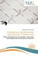 Enterprise Architecture Assessment Framework