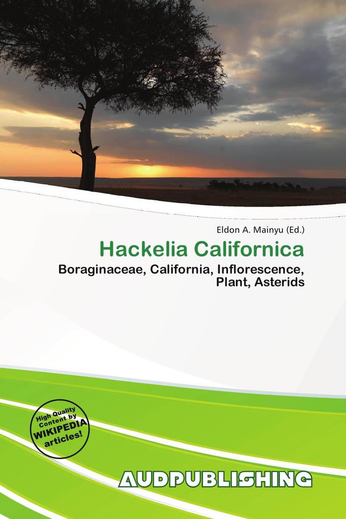 Hackelia Californica