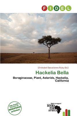 Hackelia Bella