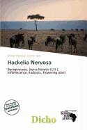 Hackelia Nervosa