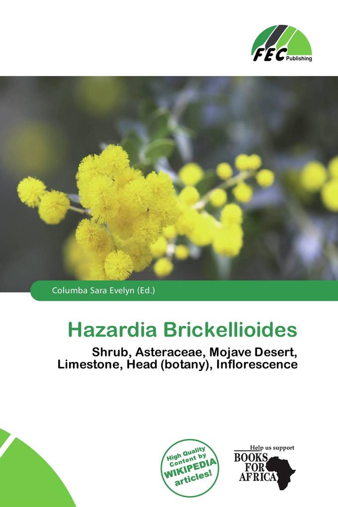 Hazardia Brickellioides