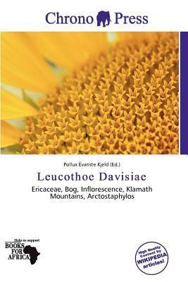 Leucothoe Davisiae