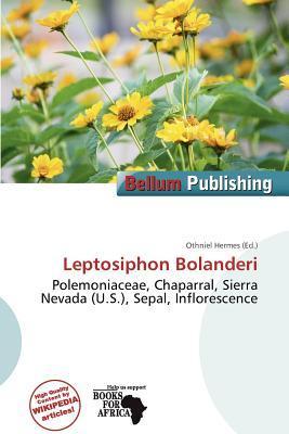 Leptosiphon Bolanderi