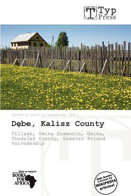 Dbe Kalisz County