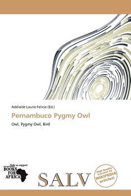 Pernambuco Pygmy Owl