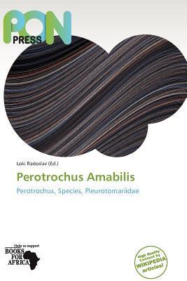 Perotrochus Amabilis