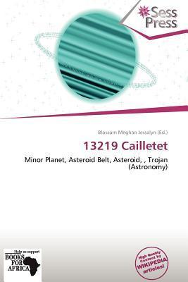 13219 Cailletet