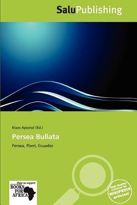 Persea Bullata