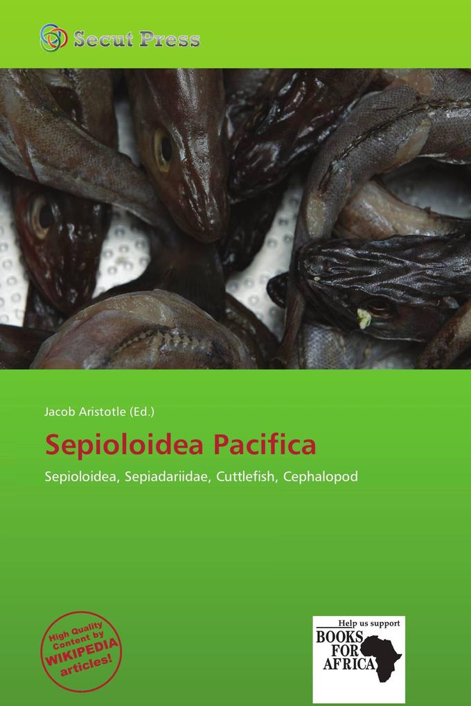 Sepioloidea Pacifica
