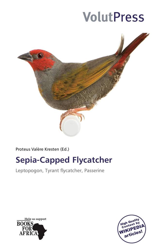 Sepia-Capped Flycatcher