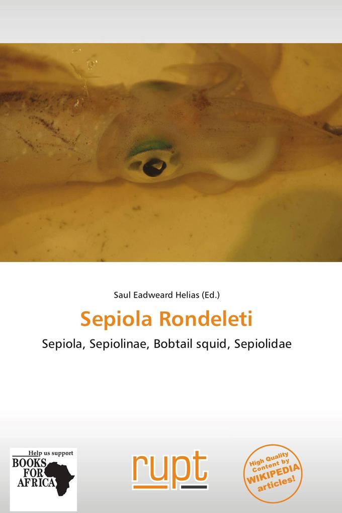 Sepiola Rondeleti