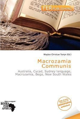 Macrozamia Communis