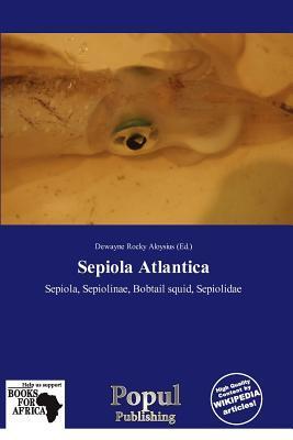 Sepiola Atlantica