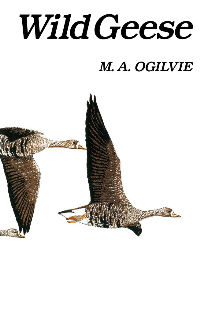 Wild Geese - M. A. Ogilvie