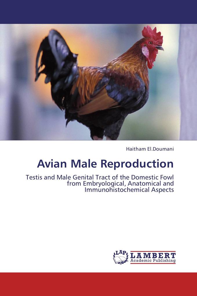 Avian Male Reproduction