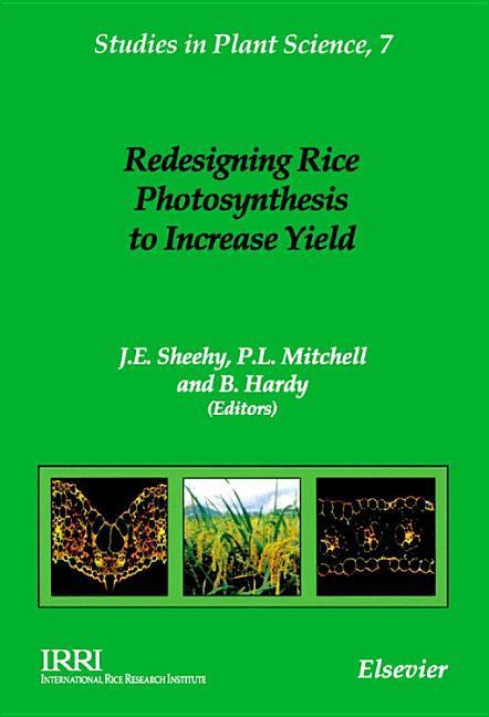 Reing Rice Photosynthesis to Increase Yield
