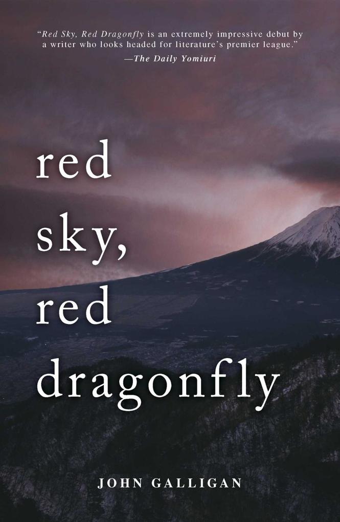 Red Sky Red Dragonfly