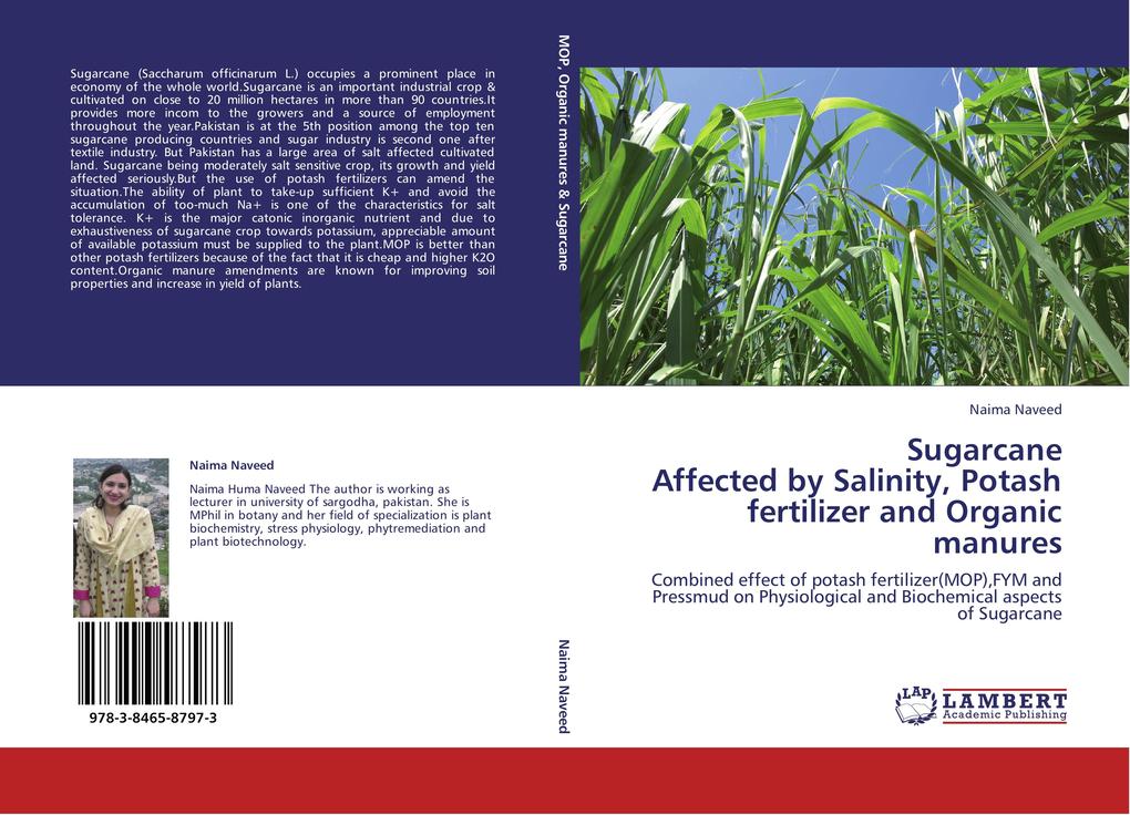 Sugarcane Affected by Salinity Potash fertilizer and Organic manures