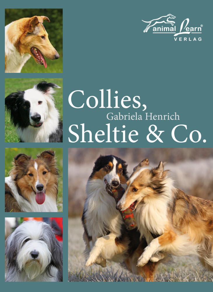 Collies Sheltie & Co.