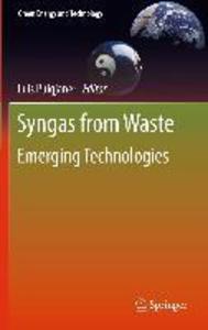 Syngas from Waste