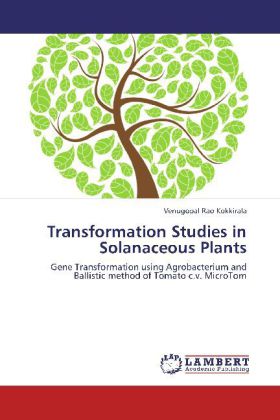 Transformation Studies in Solanaceous Plants