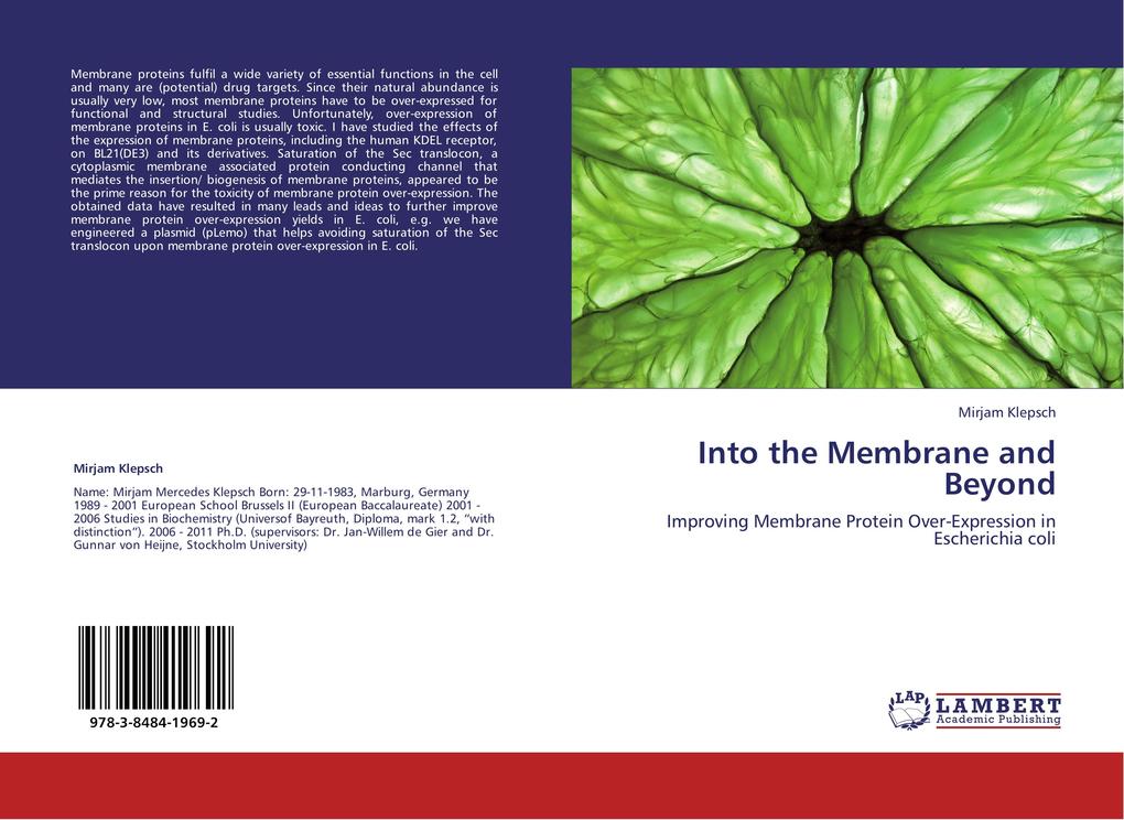Into the Membrane and Beyond
