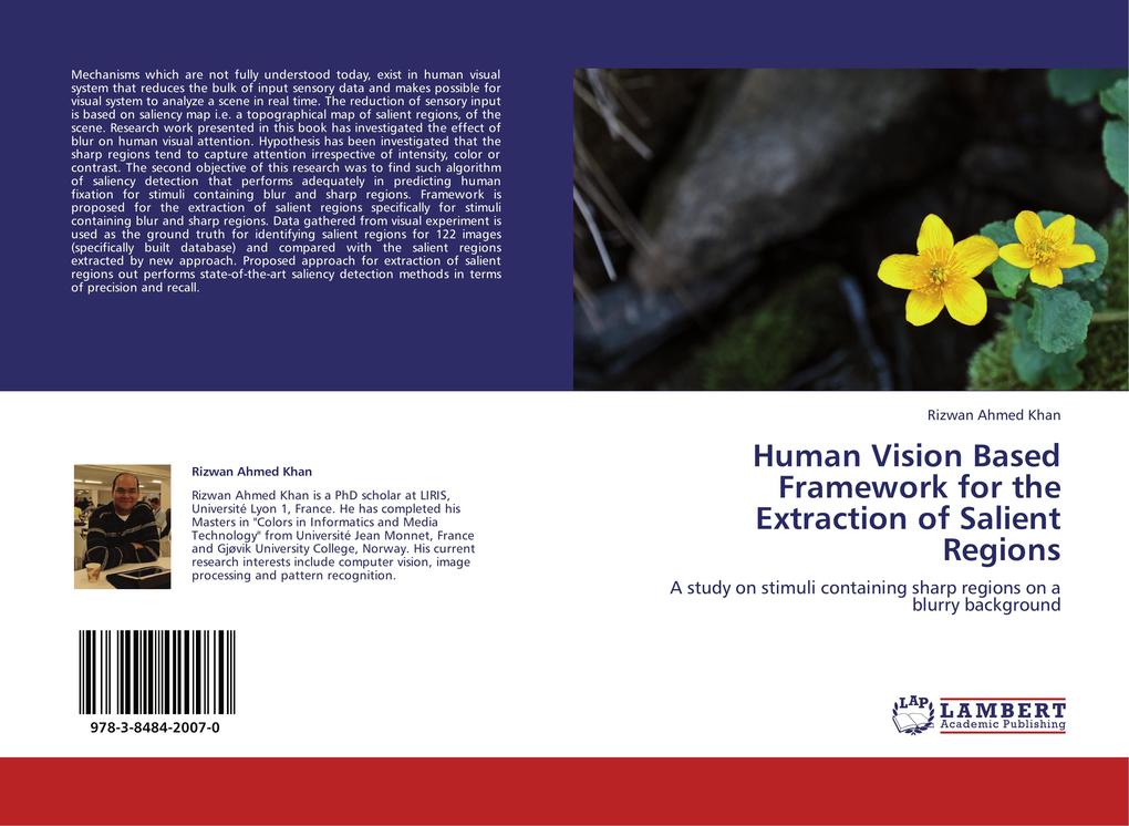 Human Vision Based Framework for the Extraction of Salient Regions