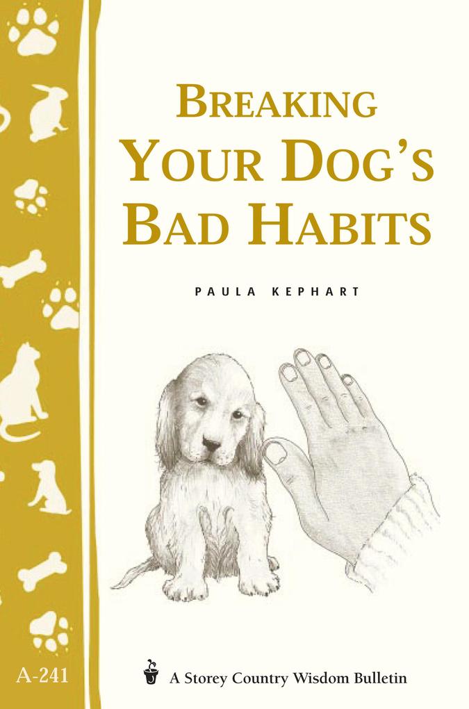 Breaking Your Dog‘s Bad Habits