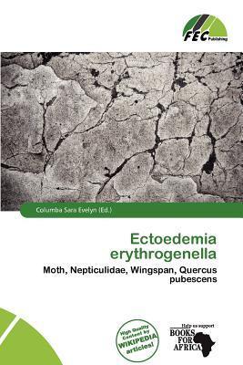 Ectoedemia erythrogenella