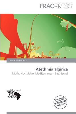 Atethmia algirica