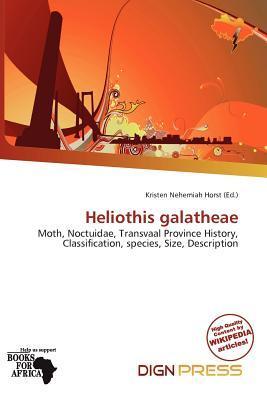 Heliothis galatheae