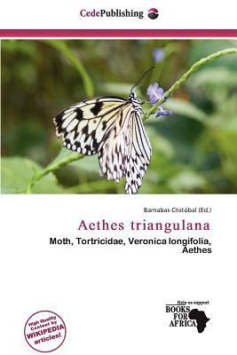 Aethes triangulana