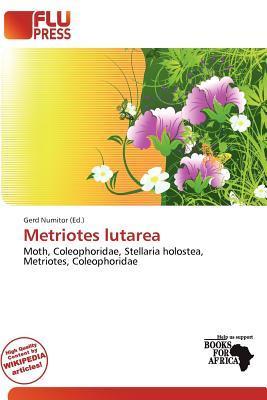 Metriotes lutarea