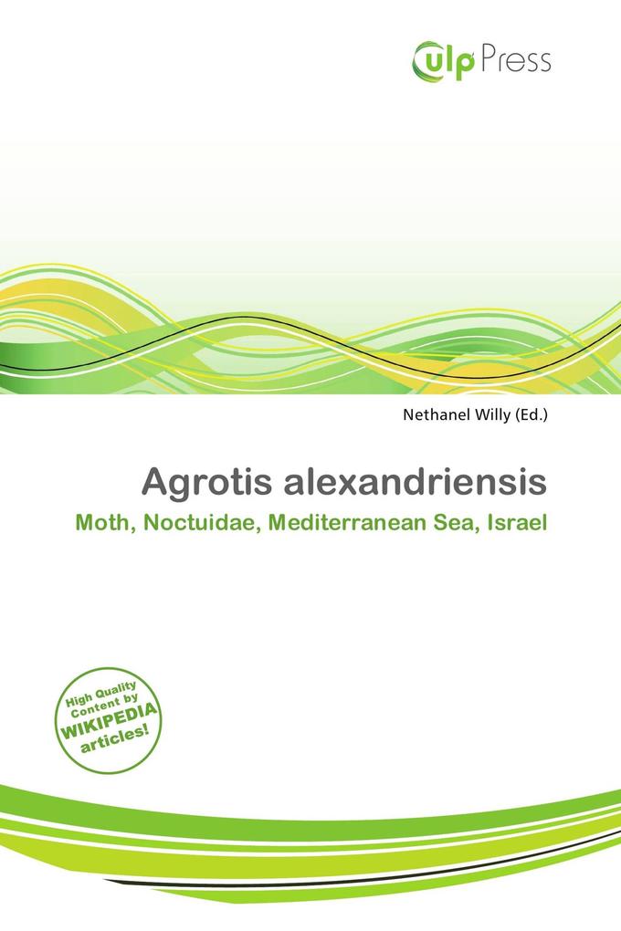 Agrotis alexandriensis