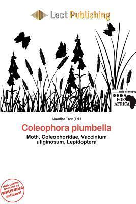 Coleophora plumbella