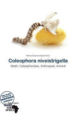 Coleophora niveistrigella