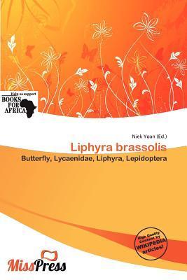 Liphyra brassolis