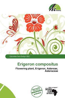 Erigeron compositus