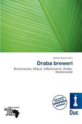 Draba breweri